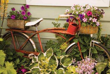 Creative Container Gardening Ideas Image